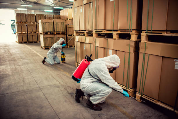 Best Wasp Removal Services  in Sandusky, MI
