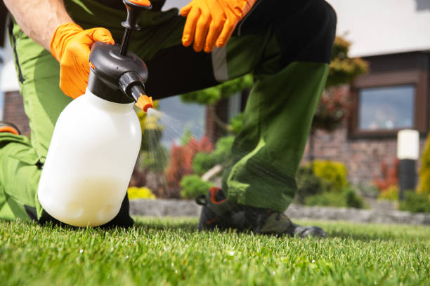 Best Affordable Pest Control Services  in Sandusky, MI
