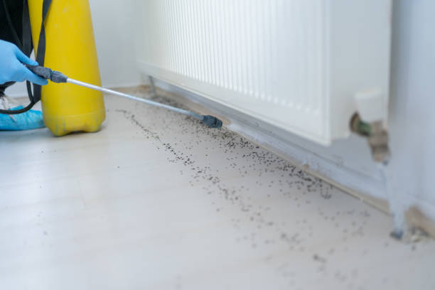 Best Mosquito Control Services  in Sandusky, MI