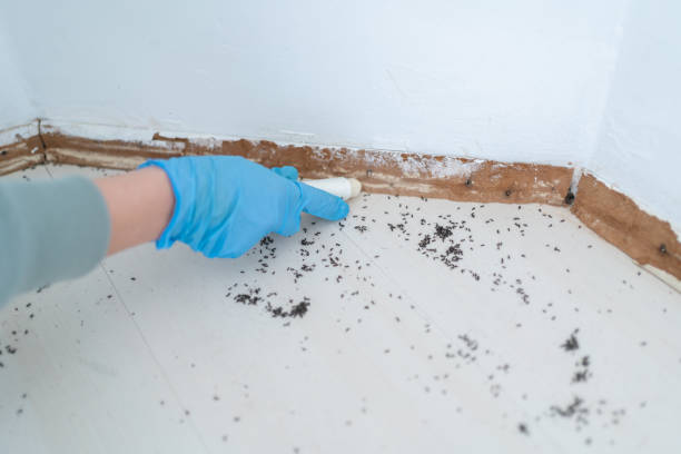 Pest Prevention Services in Sandusky, MI